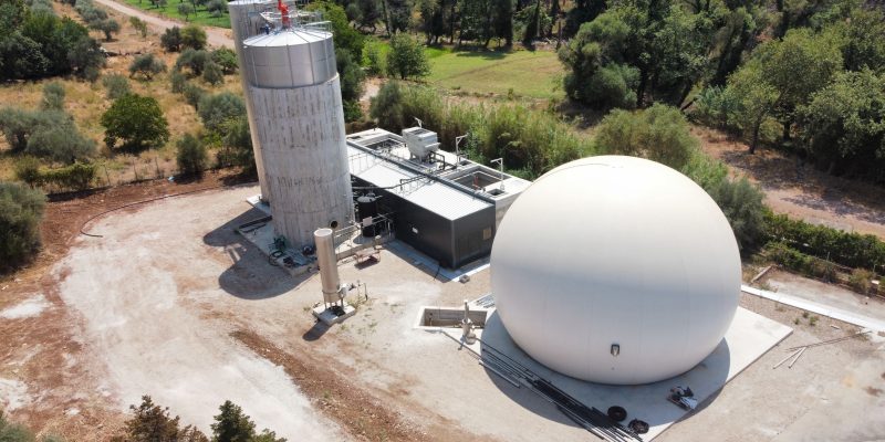 AVIGAL – VALMANTOURA ACHAIA (2024)