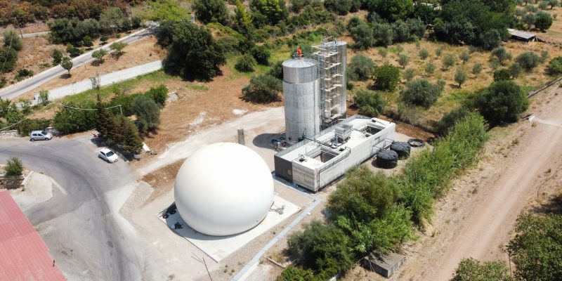 AVIGAL – VALMANTOURA ACHAIA (2024)