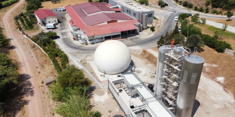 AVIGAL – VALMANTOURA ACHAIA (2024)