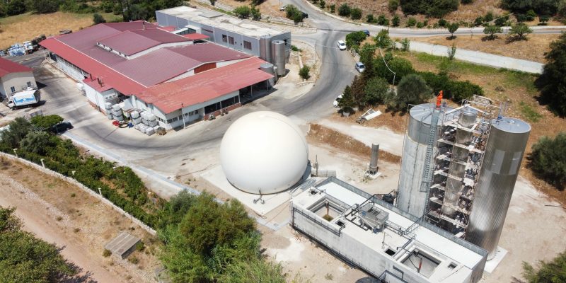 AVIGAL – VALMANTOURA ACHAIA (2024)