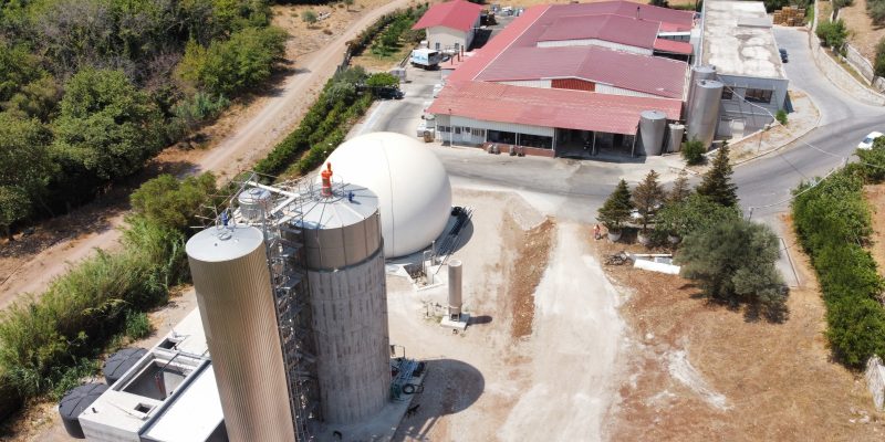 AVIGAL – VALMANTOURA ACHAIA (2024)